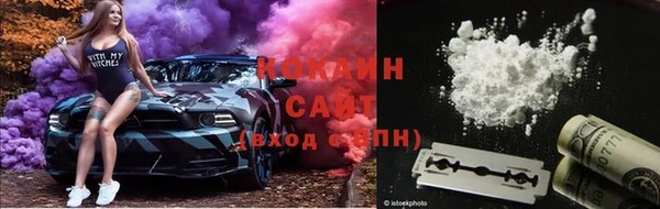 соль ск Новозыбков