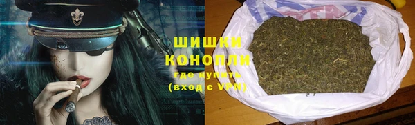 соль ск Новозыбков