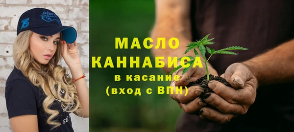 соль ск Новозыбков