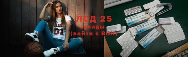 соль ск Новозыбков
