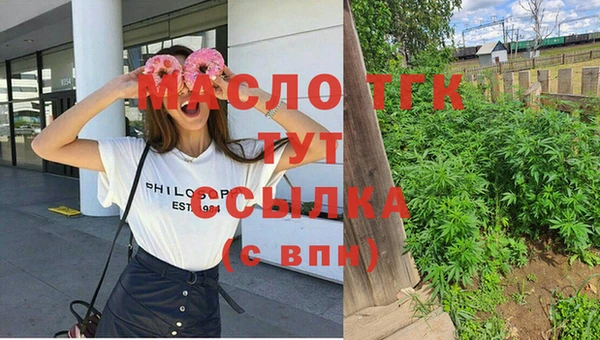 соль ск Новозыбков