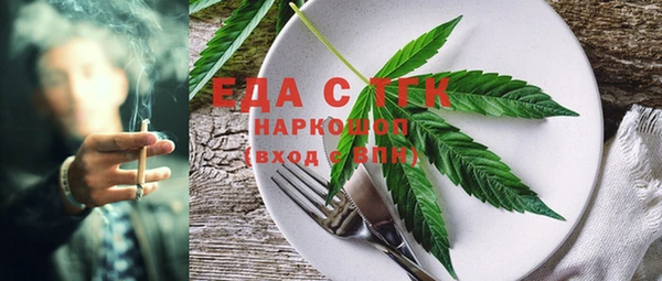 соль ск Новозыбков