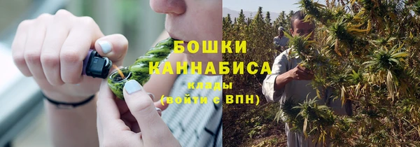 2c-b Новодвинск