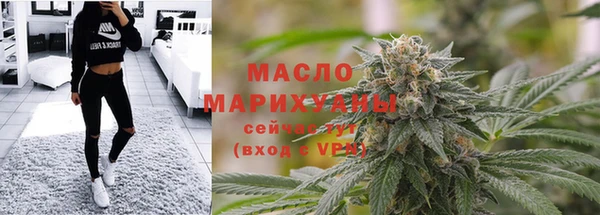 соль ск Новозыбков