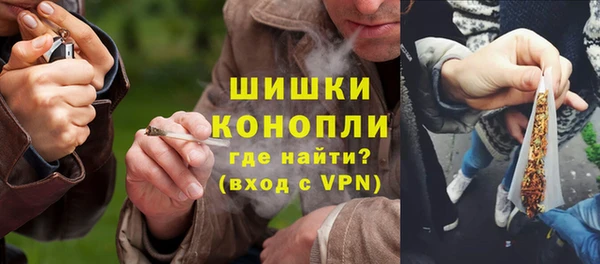 соль ск Новозыбков